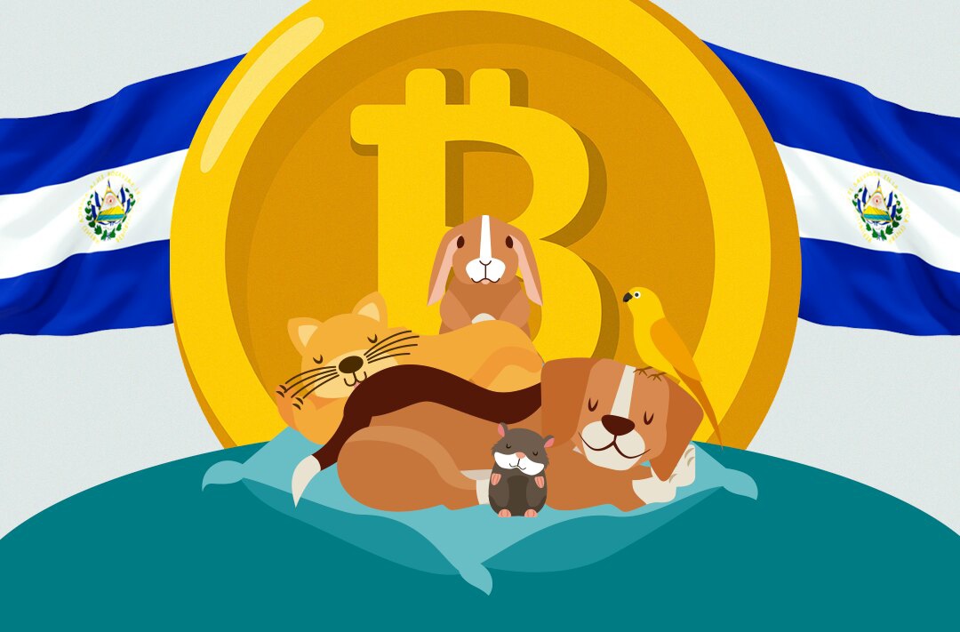 ​El Salvador will build a veterinary hospital using gains from the legalization of Bitcoin
