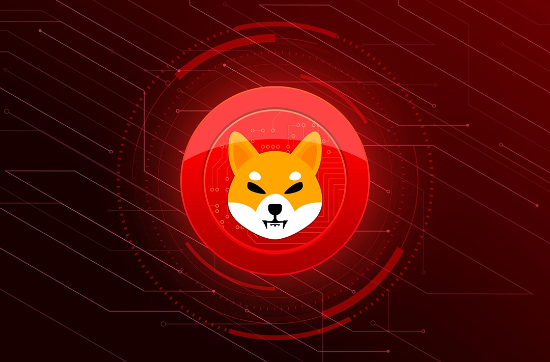 Shiba Inu developers launched their own token burn portal