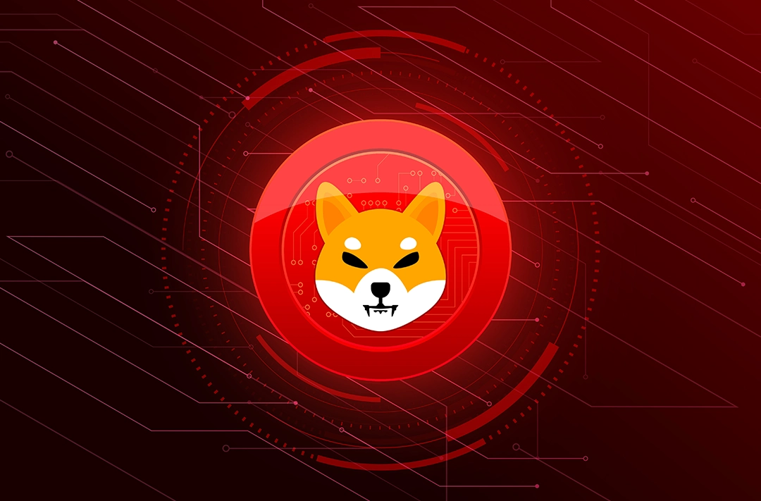 Разработчики Shiba Inu запустили собственный портал для сжигания токенов