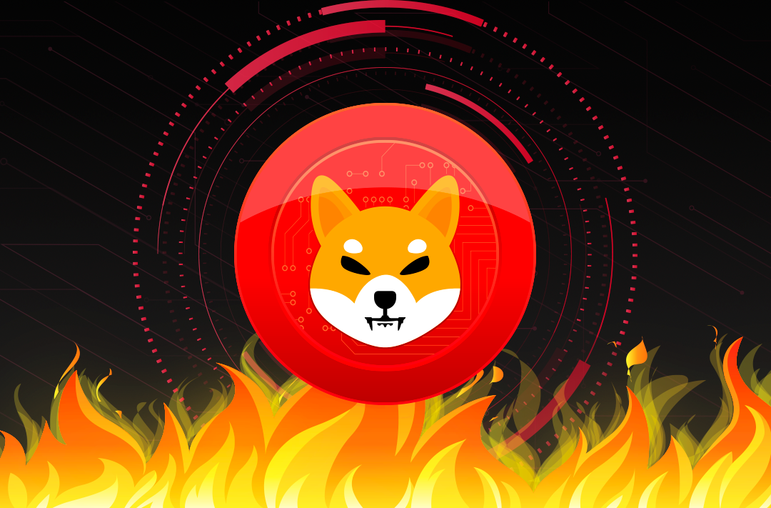 ​The SHIB tokens are burned by their owners