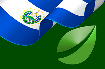 Материнская компания Tether и Bitfinex поучаствует в создании крипторегулирования в Сальвадоре