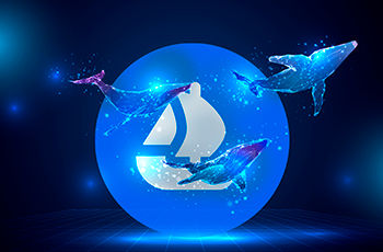 Команда OpenSea попросила SEC подтвердить отсутствие полномочий по регулированию NFT-маркетплейсов