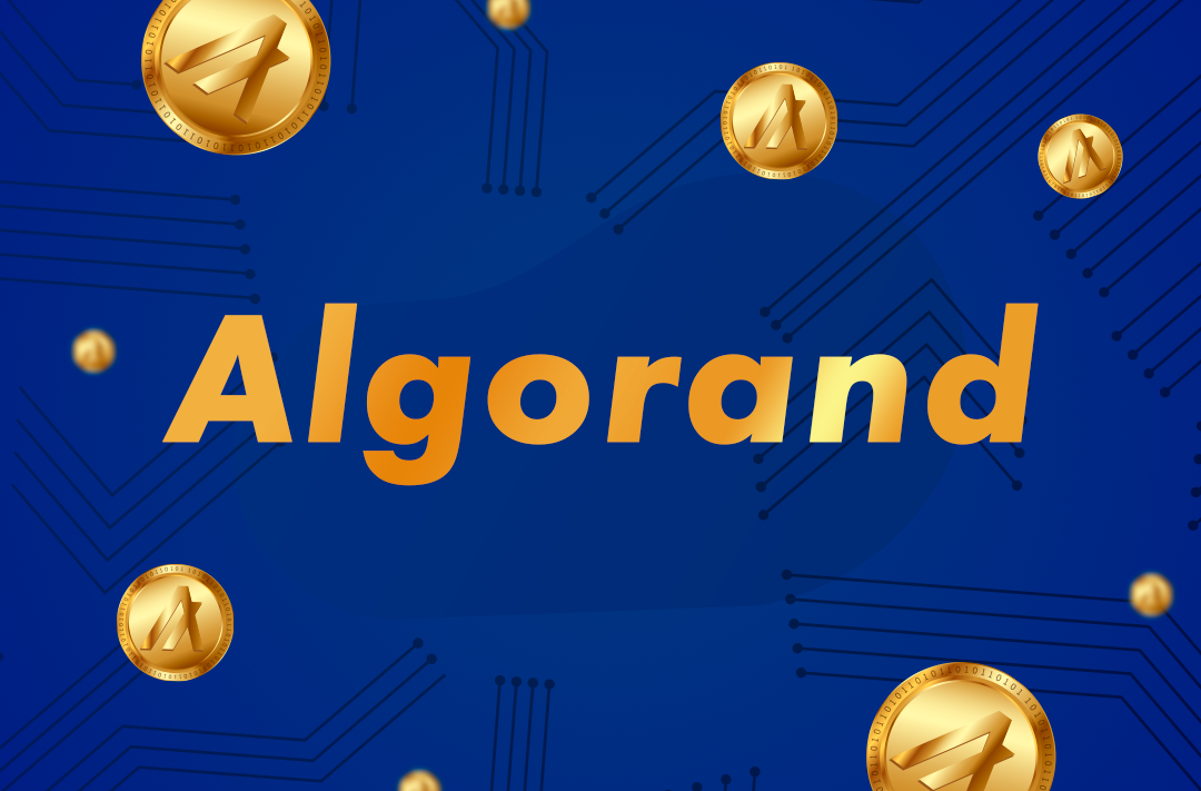What is Algorand