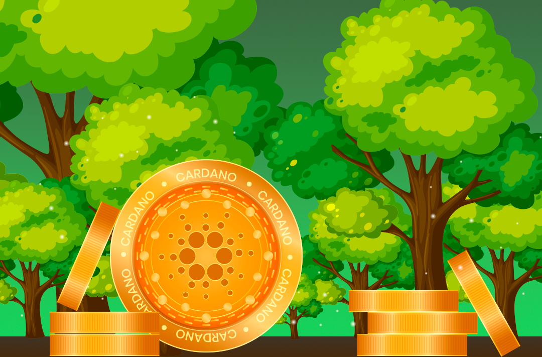 ​The Cardano Foundation has planted one million trees