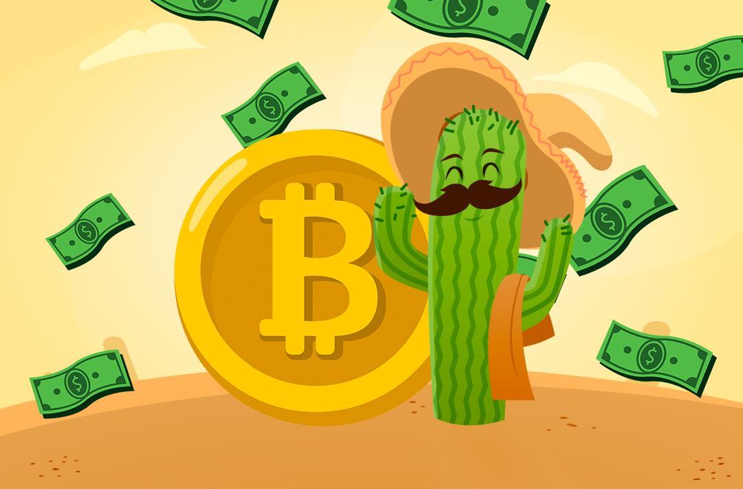 ​The Mexican crypto startup plans to make cash remittances cheaper