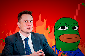 bob-meme-token-rate-falls-by-39-after-elon-musk-s-statement-about-a-scam-crypto-account