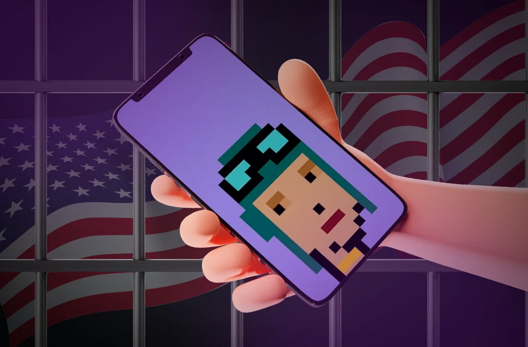 Коллекционеру NFT CryptoPunks грозит 6 лет тюрьмы в США за сокрытие доходов от продажи активов