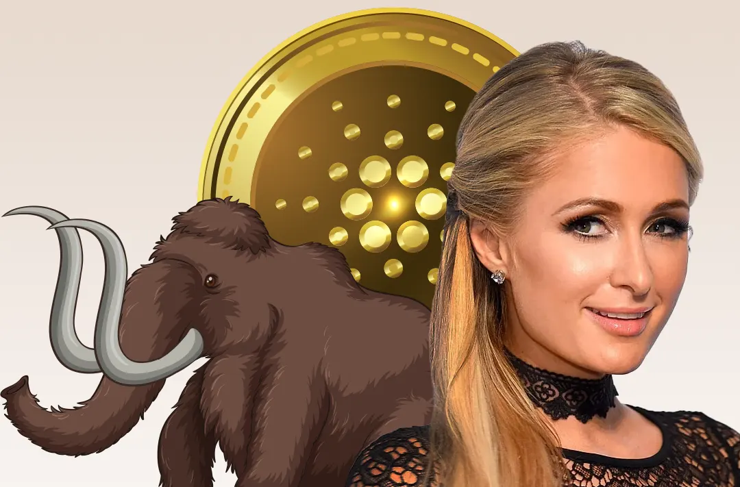 Paris Hilton and Cardano founder invested in mammoth resurrection fund