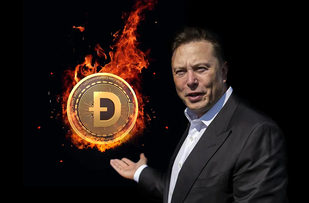 CryptoLaw chief warned Elon Musk of the possible consequences of Dogecoin promotion