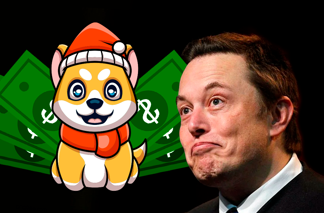 Elon Musk's new tweet has raised the price of the Santa Floki token
