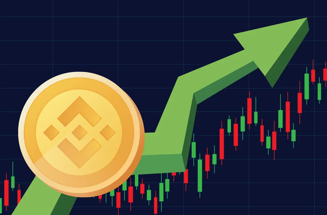 BNB rate rises by 7,5% after Binance’s support of DEX Hasflow