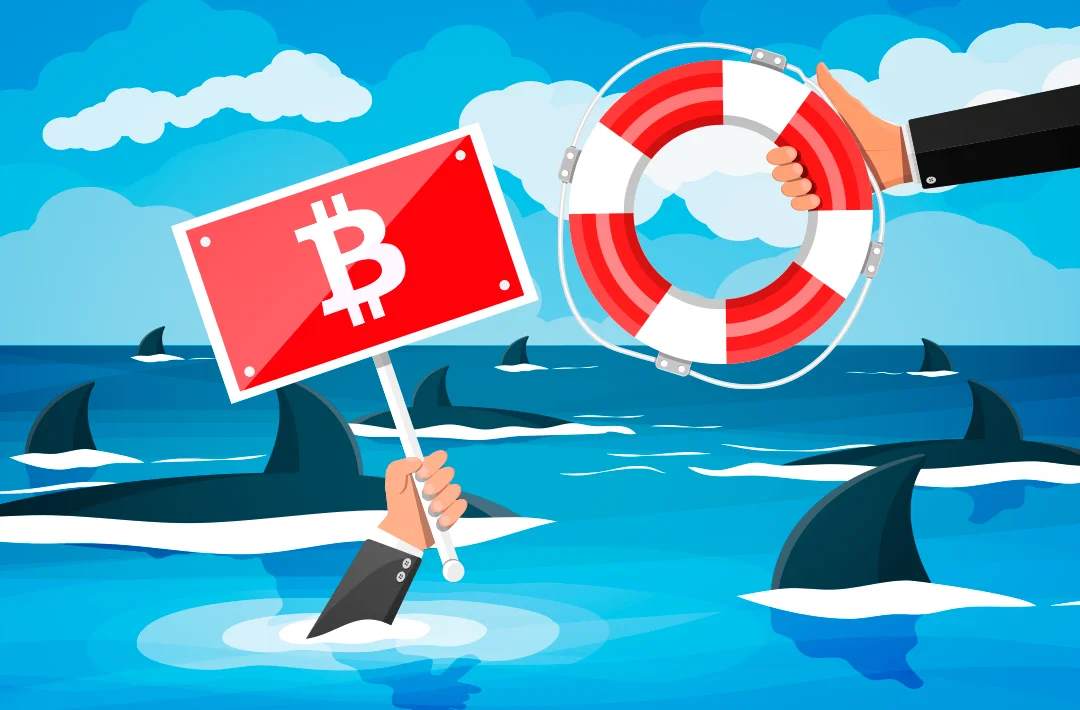 Институт политики биткоина призвал помиловать разработчиков Samourai Wallet