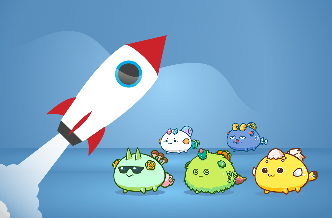 ​Axie Infinity developer announced a reward for “white” hackers up to 1 million