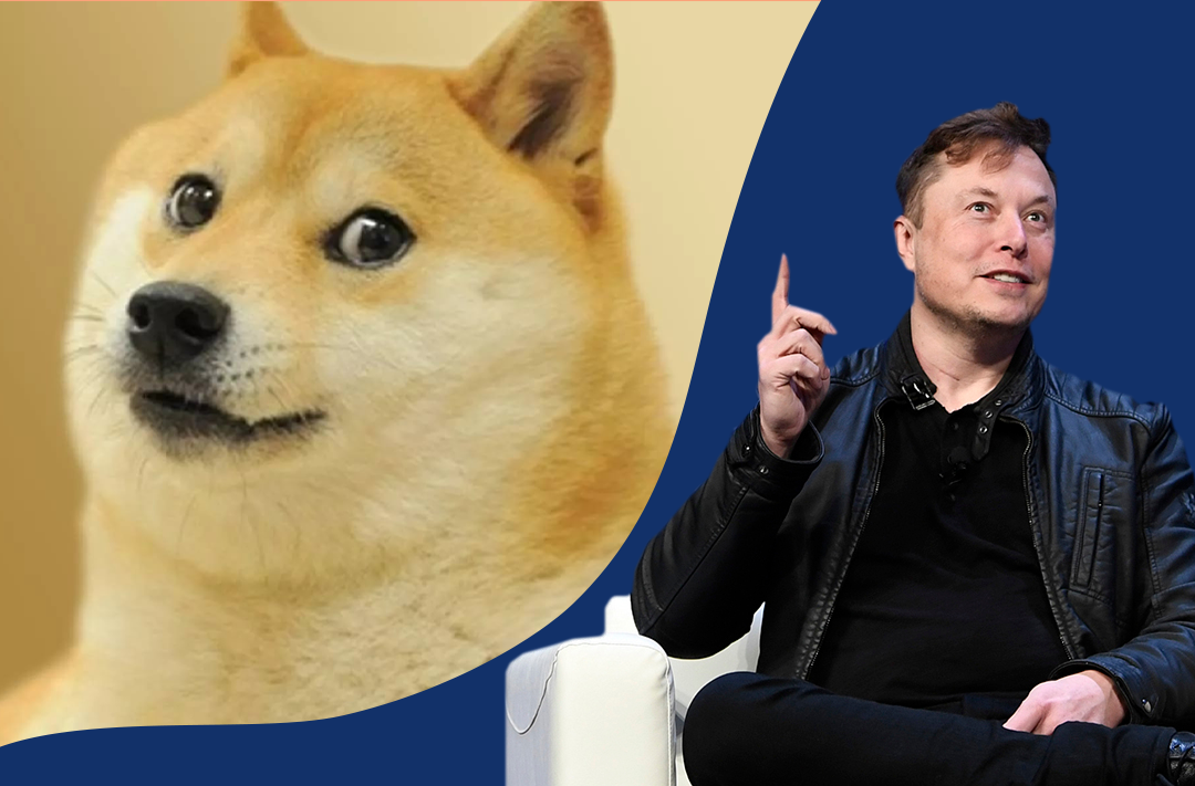 Elon Musk has made Dogecoin rate rise again