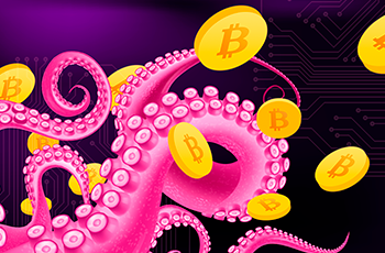 Kraken: 70% of crypto investors prefer investing in bitcoin