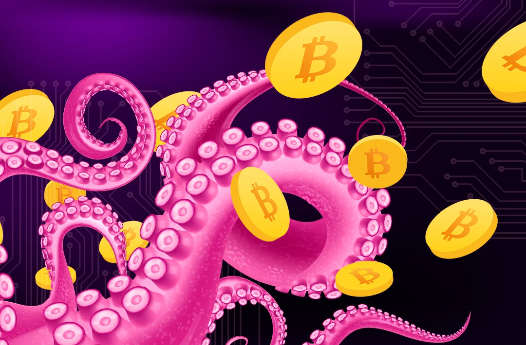 Kraken: 70% of crypto investors prefer investing in bitcoin