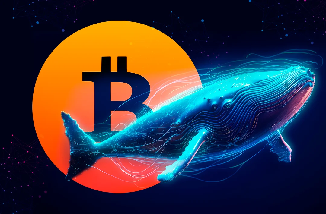 Institutional investors bought $4,5 billion worth of BTC during the market crash