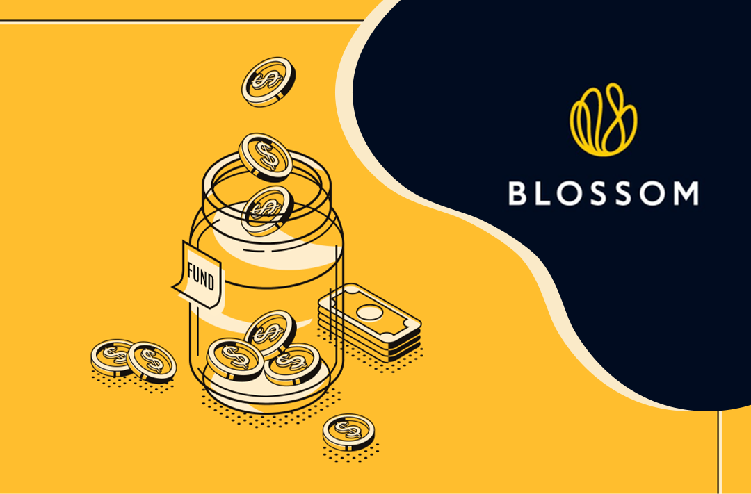 ​Blossom Capital планирует создать фонд в размере 432 млн долларов