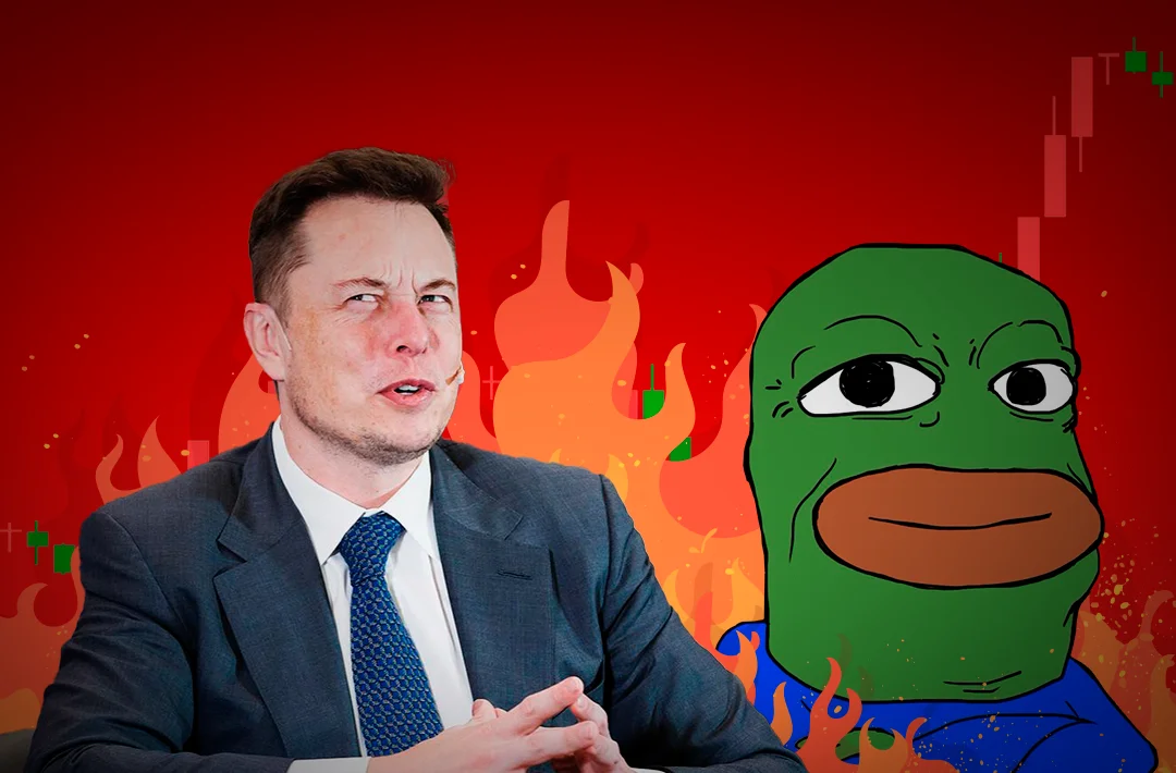 ​BOB meme token rate falls by 39% after Elon Musk’s statement about a “scam crypto account”